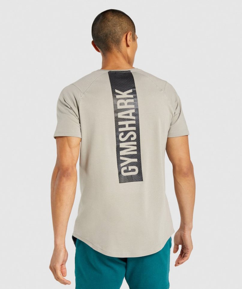 Men's Gymshark Bold T-Shirts Grey | NZ 5PMSOV